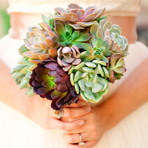 Pianta Sempreverde Con Fiori / Pianta Sempreverde - Piante Da Giardino - Foto 12