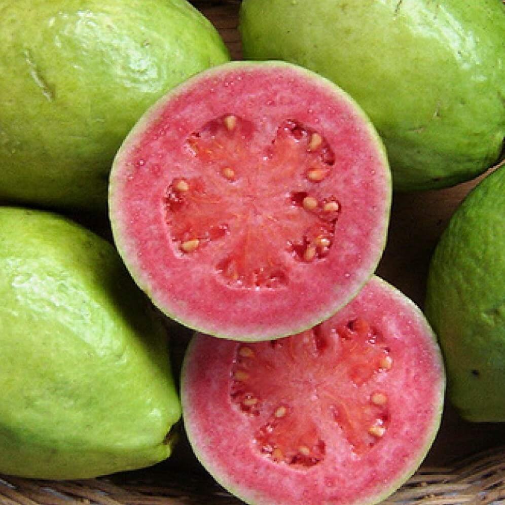Kalash New 30 pcs Red Lemon Fruit Seeds for Gardening Brown