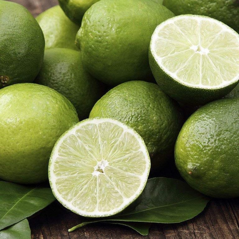 Kaffir Lime Seeds, Citrus Plant, 20pcs/pack – GreenSeedGarden