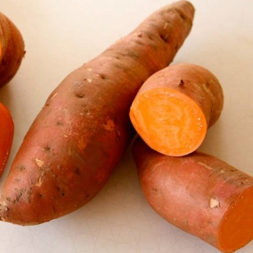 Sweet Potato Seeds, Vegetables Seeds, 100pcs/pack GreenSeedGarden