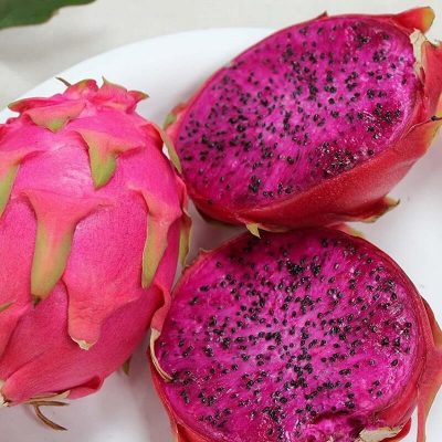 Bonsai Pitaya Seeds, Dwarf Dragon Fruit Seeds, 200pcs/pack ...